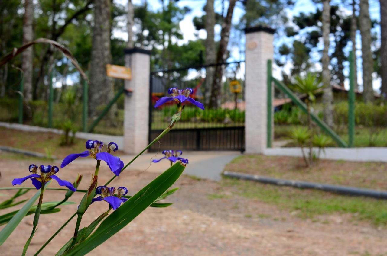 מלון מונטה ורדה Pousada Paraiso Das Araucarias מראה חיצוני תמונה